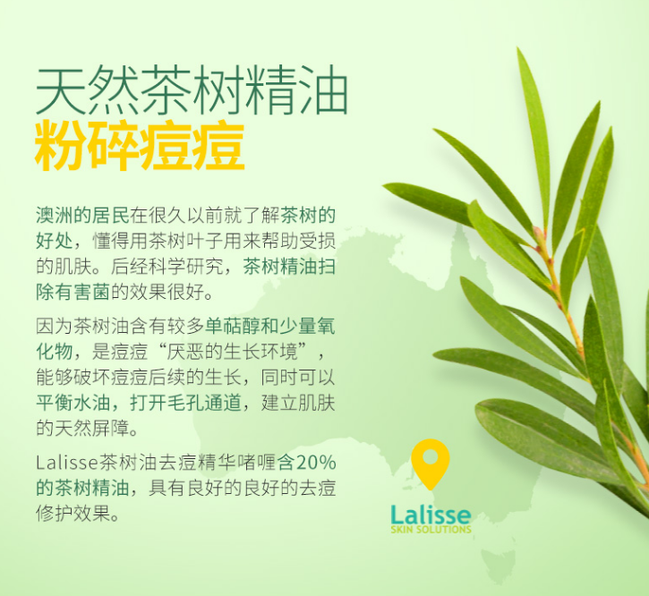 1733989212992097.png image.png