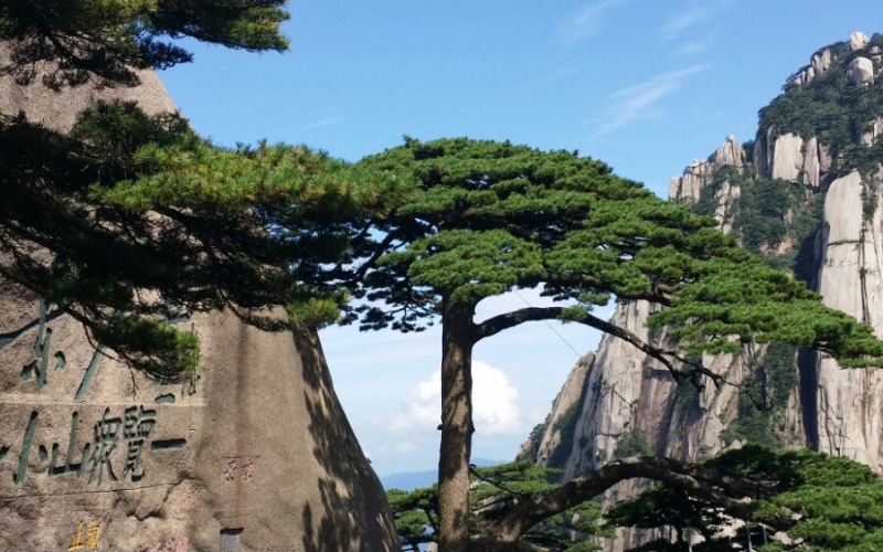 景區(qū)IP網(wǎng)絡廣播解決方案